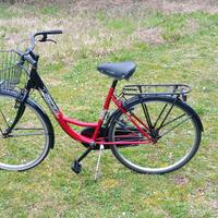Bicicletta Net Bike