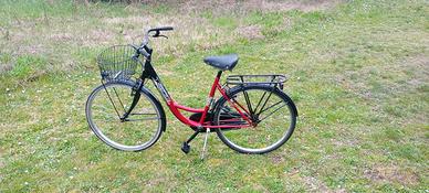 Bicicletta Net Bike