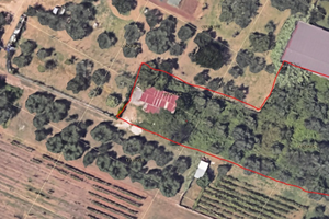 Terreno di circa 2000 metri quadrati a Colonna(RM)