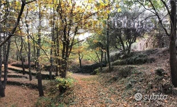 Terreno 20.000mq con fabbricato a Piedimonte Etneo - Vista 2