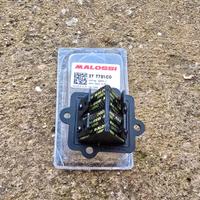 Pacco lamellare Malossi VL12 minarelli