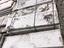 Immagine 13