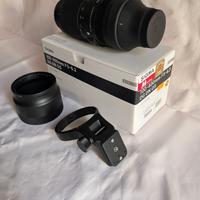 Sigma  100–400mm F5–6.3 DG DN OS  (attacco E mount