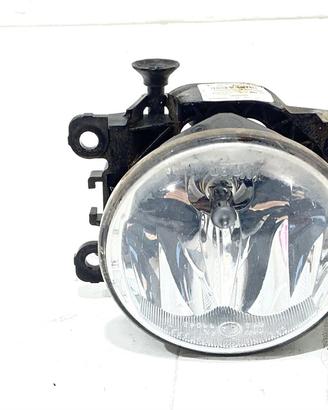 FENDINEBBIA ANTERIORE SX RENAULT Scenic X MOD 8200