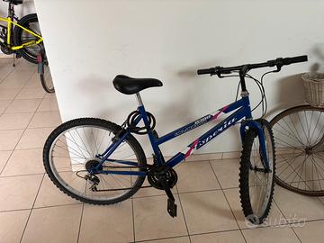 Bicicletta Esperia