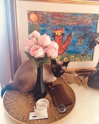 Quadro Dipinto - Gatto Rosso - Cornice in Legno