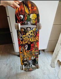 skateboard roces