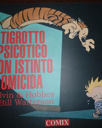 FUMETTI VOLUME CALVIN & HOBBES