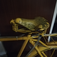 Bicicletta da esposizione