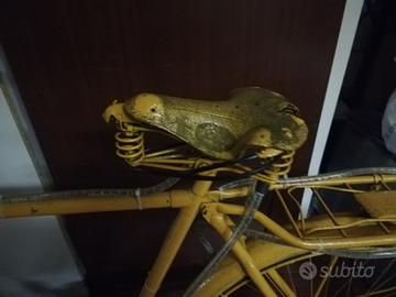 Bicicletta da esposizione