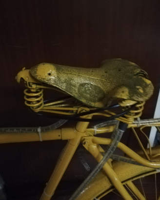 Bicicletta da esposizione