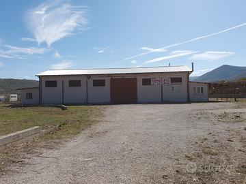 Capannone commerciale