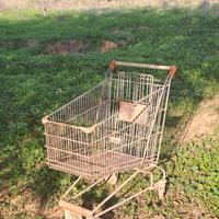 Carrello spesa shopping (Filomarket marca)