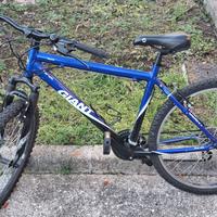 mountain bike trattabile