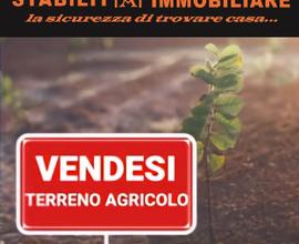 Lotto agricolo 100mq in pieno centro S.M.La Stella