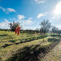 Casa di Campagna con Terreno a Castelvetrano