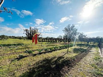 Casa di Campagna con Terreno a Castelvetrano