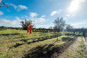 Casa di Campagna con Terreno a Castelvetrano