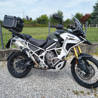 Triumph Tiger Rally Explorer