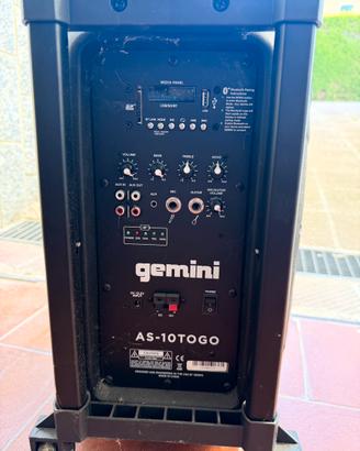 Cassa attiva Gemini