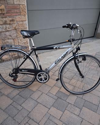 Bici da Uomo