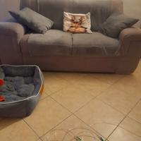 divano 2 posti 