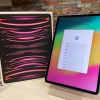 IPAD PRO 11'' 2022 M2 256GB WIFI+CELL USATO GARANT