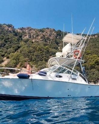 Albemarle Exspress 280 Diesel