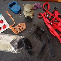 Giochi e accessori per cagnolini a partire da