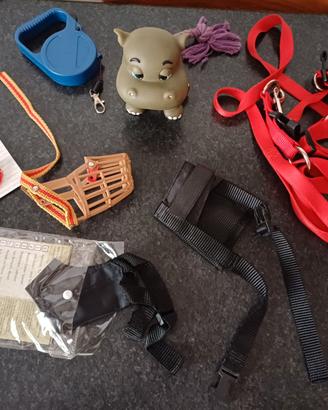 Giochi e accessori per cagnolini a partire da