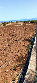 Terreno vista mare Polignano a mare