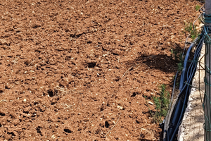 Terreno vista mare Polignano a mare