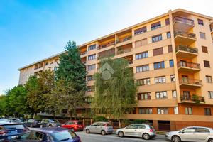 5 LOCALI A TORINO
