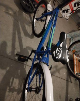 bicicletta 20"