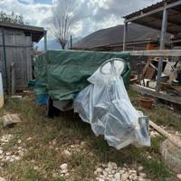 Motocoltivatore grillo