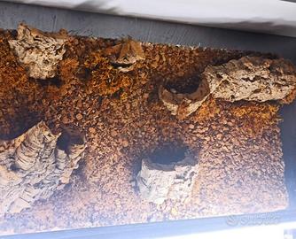 Quadro in sughero per piante 