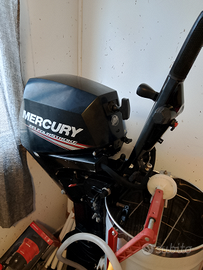 Fuoribordo Mercury 15 CV 4 tempi gambo lungo