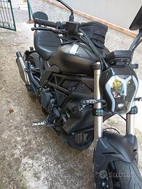 Benelli 502 C - 2023
