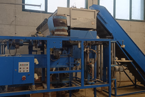 Macchina Insacchettatrice Newtec patate e cipolle