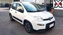 fiat-panda-1-0-firefly-s-s-hybrid-city-life