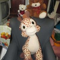 N.3 pupazzi di peluche piccoli,medi,grandi(E 3/5/8