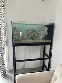 Acquario 200 litri