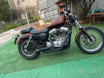 Harley Sportster 883