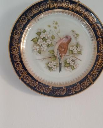 piatti di porcellana con decorazioni in oro