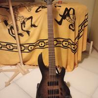 ESP LTD D-5 black natural burst