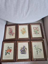 6 quadretti vintage 
