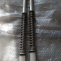Cartucce forcella Chr600Rr 2008