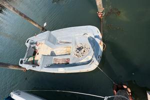 Angelo Molinari forma Open