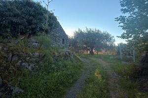 Terreno frazione Castiglione di Sicilia