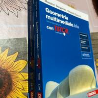Geometria e algebra multimediale.blu